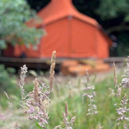 Rode Bell Achter Duin Hotell 't Horntje Eksteriør bilde